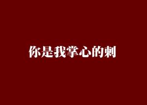 你是我掌心的刺（100集）