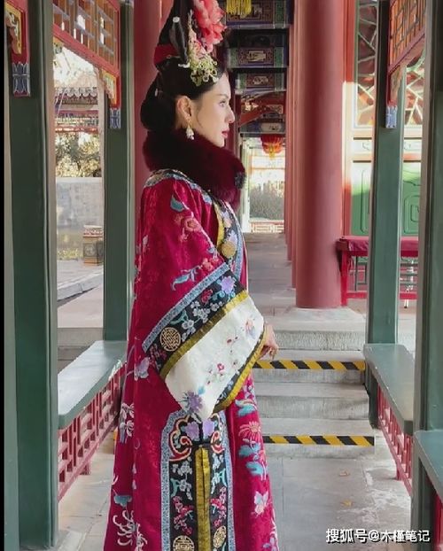 贵妃娘娘的网红之路，一场宫中的新潮挑战（共82集）