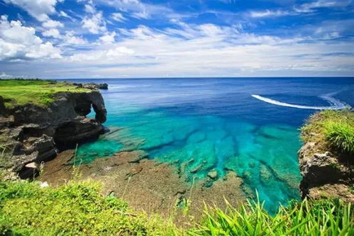 海霸争艳，海洋世界的壮丽画卷（99集）