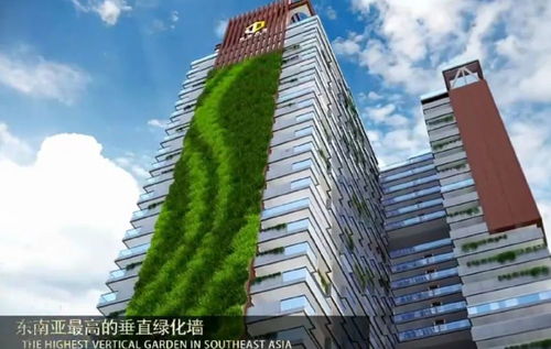 凛冬散尽星河长明（右智园）——探寻智慧与未来的交汇点（共99集）