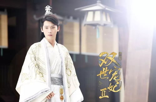 大宋小郎君，穿越剧的全新篇章（92集）