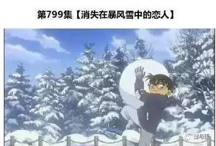 盛放（71集），探寻一部作品的深层内涵与独特魅力