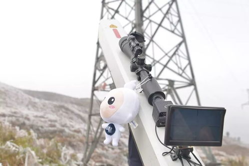 广东一公司采用激光清障仪高效修剪树木