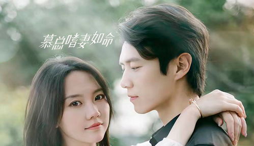 慕总嗜妻如命，深情守护的无尽赞歌