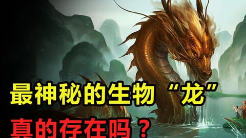真龙，一部揭示传奇的94集巨作