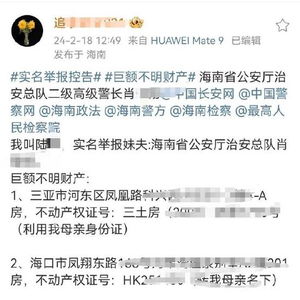 陆总死活不离婚（99集）