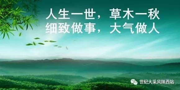 草木人间之人生如戏，柯以的八十集人生旅程