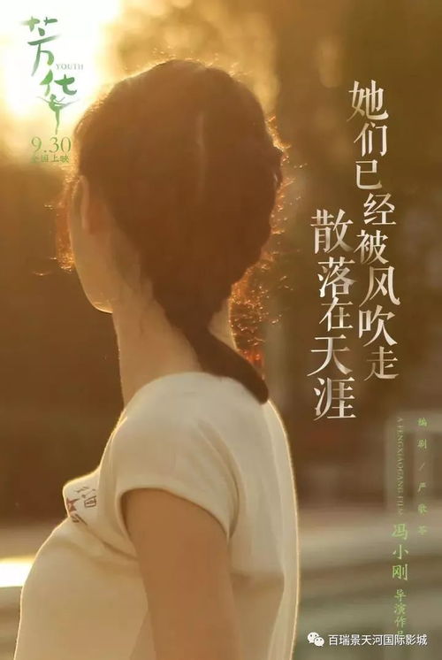 风华正茂遇见你——青春最美的篇章（第1-108集深度解析）