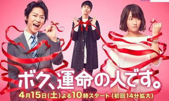 闪婚幸运草的命中注定剧情梗概与角色剖析（共82集）