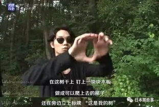 温柔沦陷（50集）剧情解析与感悟