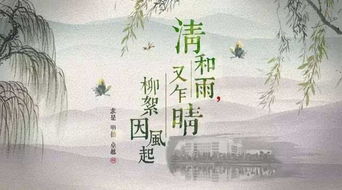夜总何必再虐白月光（61集）——黄波的抉择