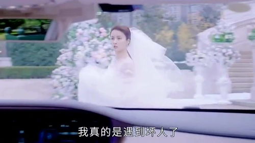 替姐姐出嫁后夫君独宠我（80集）