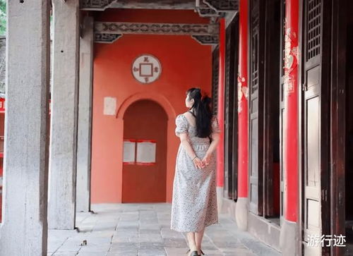 撑腰（77集），探寻背后的故事与深层意义