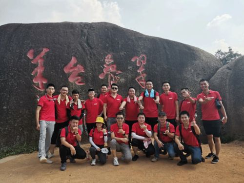 登顶，勇攀高峰的八十集奋斗史