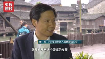 跟着大哥风起云涌（40集）