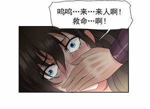 重生王妃美又飒