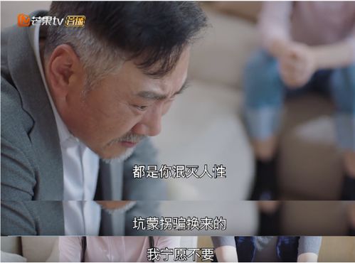 李特助如此多娇，职场魅力与情感纠葛的89集深度剖析
