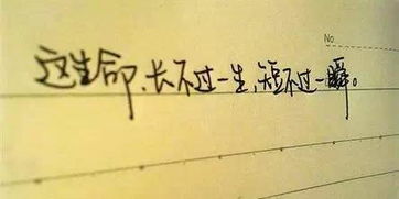 情深可抵岁月长（101集）——时光中的永恒情感