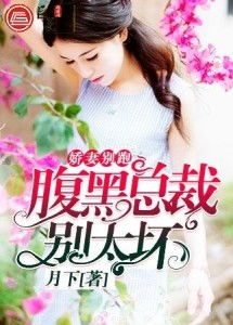 天降娇妻腹黑老公别装傻