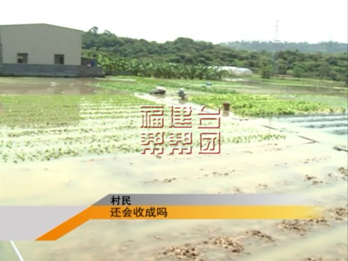南阳农民河道取水被罚5万不实——真相的探寻与解读