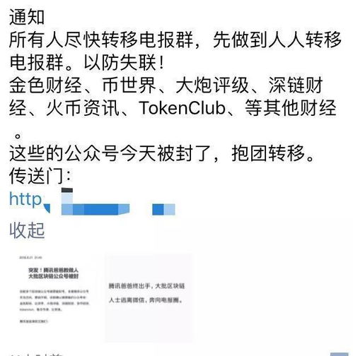 官方回应黄杨钿甜家开公司是否报备，公众关注的背后与透明化监管的重要性