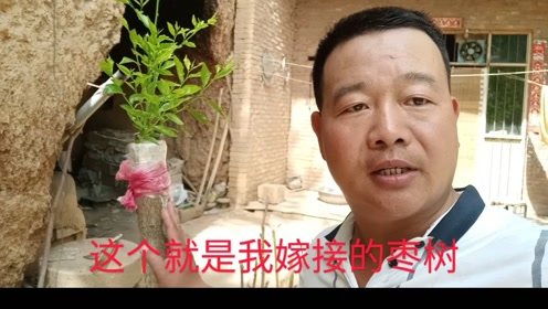 乡村傻哥复仇记（86集）