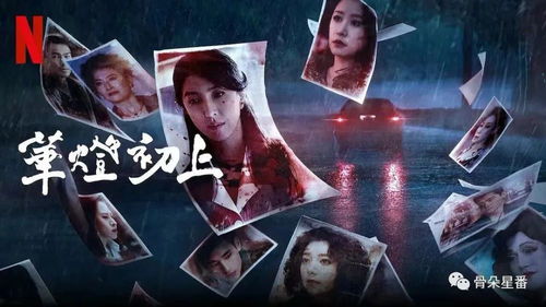 玫瑰故事之满级老婆杀疯了，腻宠战总的特工老婆（吴竹熙篇）——80集震撼心灵之旅