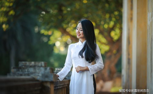 谁说我是穷小子——李苗苗的奋斗篇章（第71集）