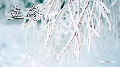 凤箫吟，一曲千年的史诗（85集）