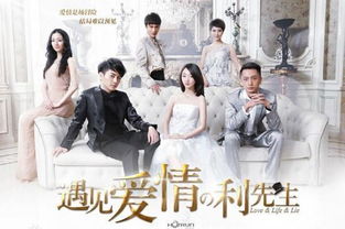 致姗姗来迟的你（电视剧版）——时光深处的温暖相遇（集萃100集）