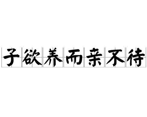 子欲养而亲不待（42集），深度解读传统智慧与现代反思