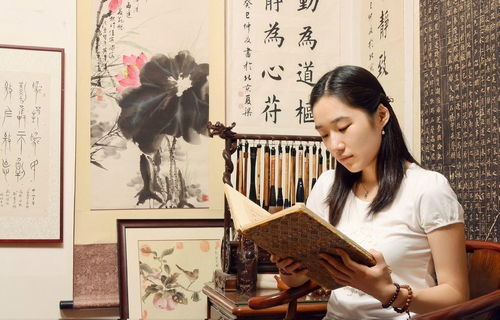 南风国境你我皆客，孟娜的故事（共80集）
