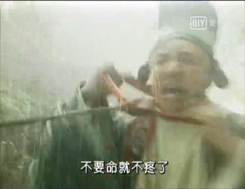被夺走的人生（70集）