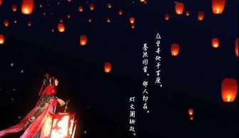寻她灯火阑珊处（61集）
