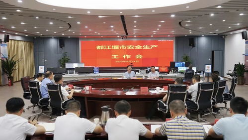 都江堰市长张亚丹被查，探究背后的真相与未来展望