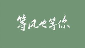 拼尽全力去爱你（79集），无悔的深情