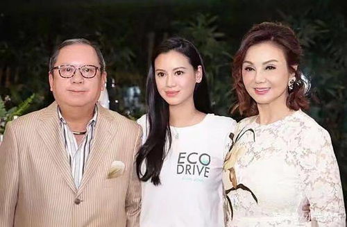 离婚后我成了豪门继承人
