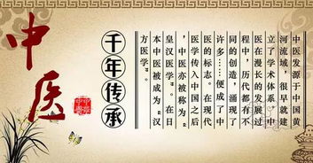 足浴神医，传统医学与生活的交融（80集深度解析）