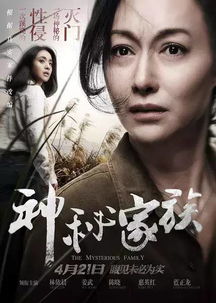 消失的主妇（100集），探寻家庭背后的秘密与真相