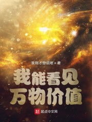 我能看到万物价值（101集）