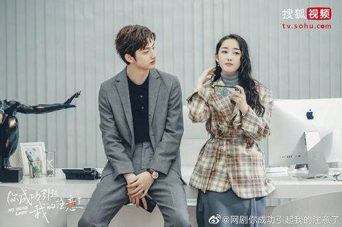 重回80，彪悍肥妻大逆袭（电视剧剧情解析）