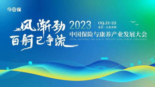 商梯（101集），深度解析与感悟