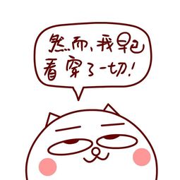 妈，我回来了（70集）