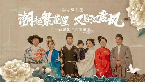 天才三宝，亿万老婆娶一送三（70集）——探寻独特魅力与深厚情感的家庭伦理剧
