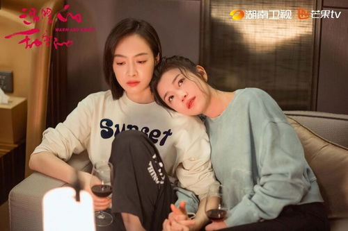婆媳闺蜜情之缘，一段超越血缘的深情故事（80集）