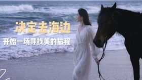 与你共赴的黄昏（66集）