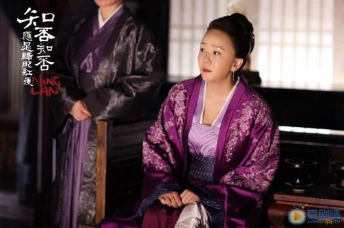 秦爷前妻野又飒（100集）剧情解析与人物深度剖析
