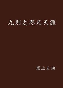 咫尺天涯的爱（72集）