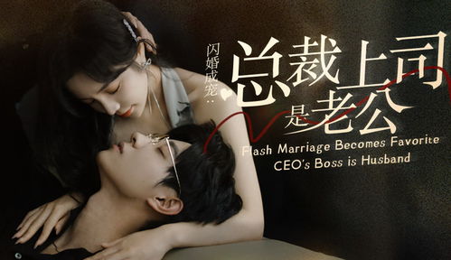 闪婚成瘾，顶头上司是我老公（94集）