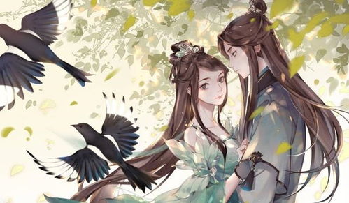 我统治了后宫（80集）